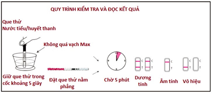 Cách tính ngày rụng trứng để sinh con gái đã được bật mí nhưng nếu bạn không có chu kỳ kinh nguyệt đều đặn có thể dùng que thử để xác định ngày rụng trứng của mình.