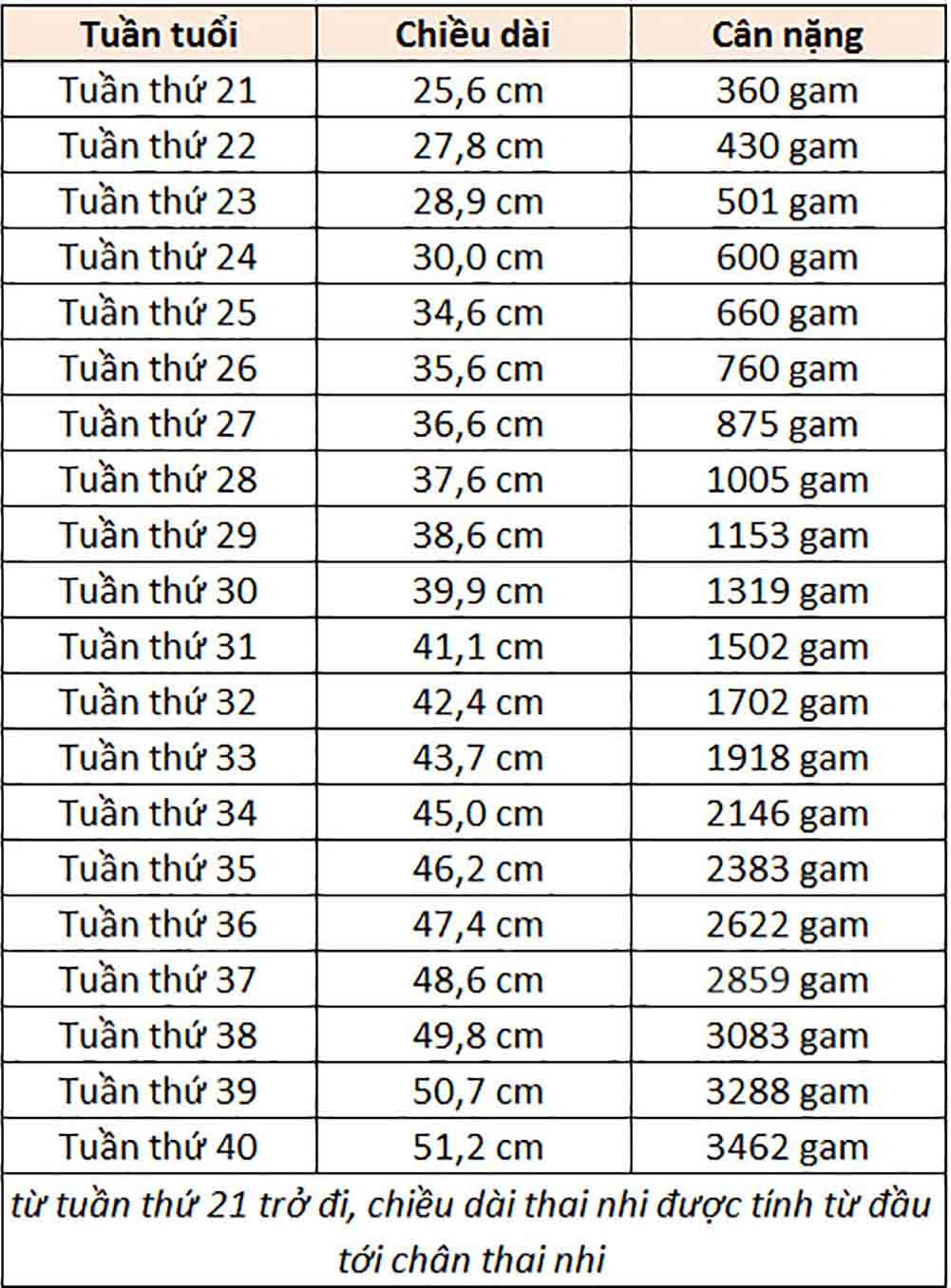 cân nặng thai nhi từ 21 tuần đến 40 tuần