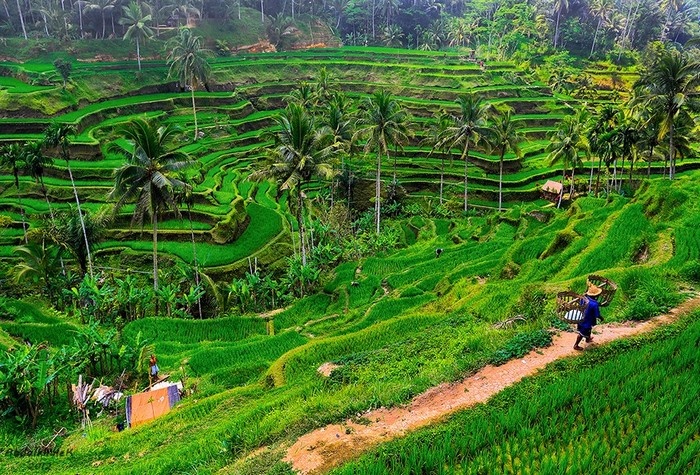 Chính những điều này đã tạo cho hòn đảo Bali một vẻ đẹp thiên đường ở Bali.