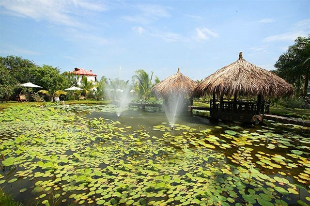 Địa điểm này cách trung tâm Thành Phố Hồ Chí Minh khoảng 60km. 