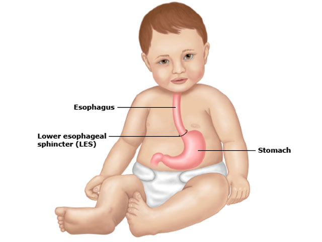 Đặc điểm hệ tiêu hóa của trẻ sơ sinh