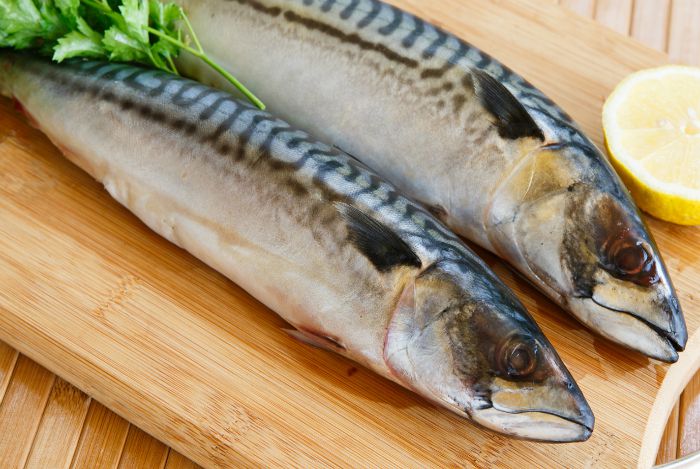 Mặc dù trong cá có chứa rất nhiều Omega-3 tốt cho bầu. Nhưng không phải loại cá nào cũng thật sự có lợi cho sự phát triển của thai nhi và mẹ bầu